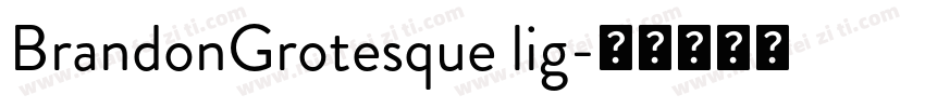 BrandonGrotesque lig字体转换